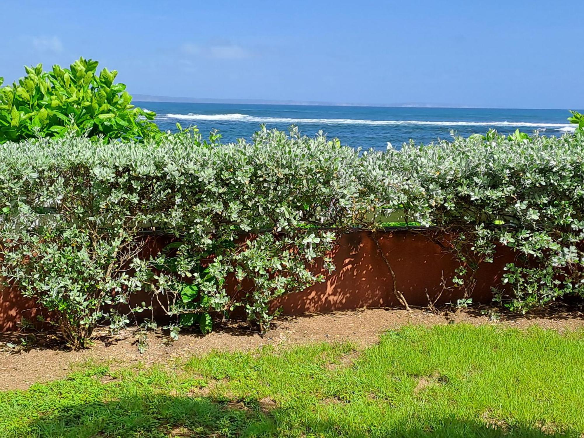 Rdc Appartement En Bord De Mer Au Son Des Vagues 勒穆莱 外观 照片